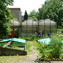 Besøg i Berlins største skolehave