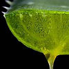 saft af Aloe Barbadensis - ingrediens i 180° system