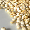 proteiner fra quinoa,' Mother Grain', Chenopodium quinoa - ingrediens i Nutrcentials Hair Care-serien